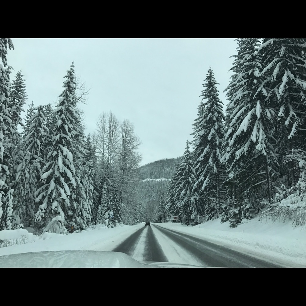 Meet your Posher, Vero